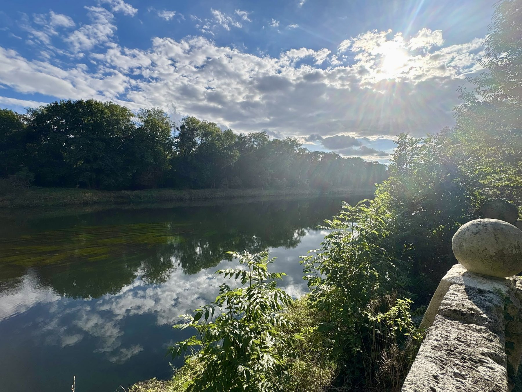Blick vom Sitzplatz direkt auf die Donau.