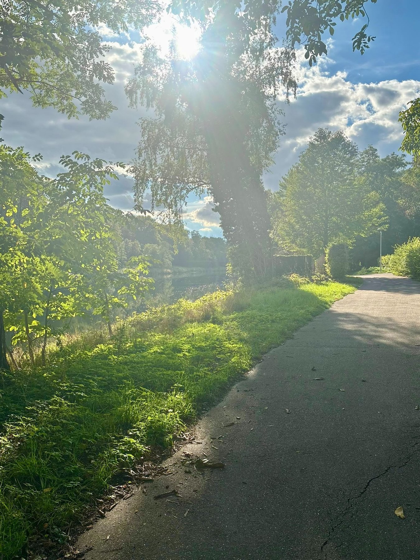 Der Donauradweg verläuft unmittelbar zwischen Campingplatz und Donauufer.
