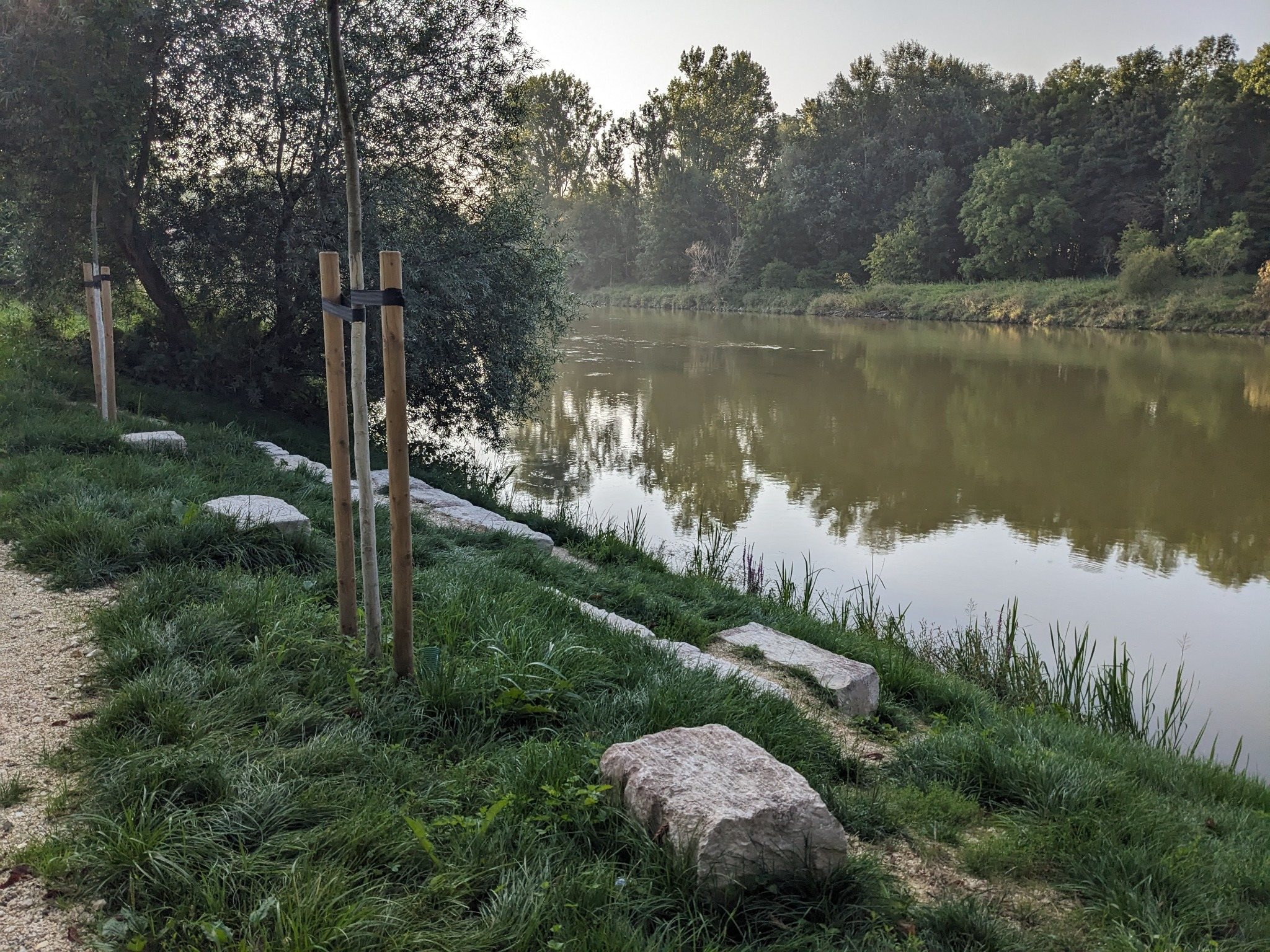 Donauufer am Campingplatz
